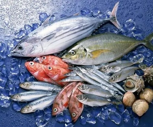 按照现代营养学的观点，海水鱼和淡水鱼都富含蛋白质、脂肪、矿物质和维生素等对人身体有益的营养物质。从蛋白质含量上来看，两者没有太大差别，只不过大多数海水鱼DHA 的含量普遍更高一些。但有些淡水鱼的DHA含量也不低，如鲈鱼、鲫鱼、鲟鱼等。其中鲈鱼的 DHA 含量比鲑鱼、带鱼、黄花鱼等常见海鱼还高一些。总之，无论是海鱼还是淡水鱼，鱼肉都是优质蛋白质来源，并且在营养成分方面没有太大差异，大家可以根据自己的喜好来选择。